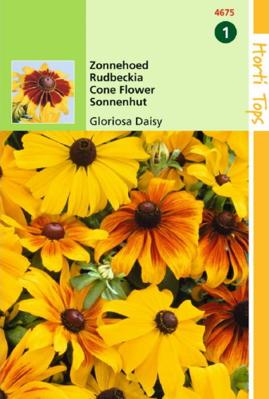 Zonnehoed Gloriosa Daisy (Rudbeckia hirta) 900 zaden HT